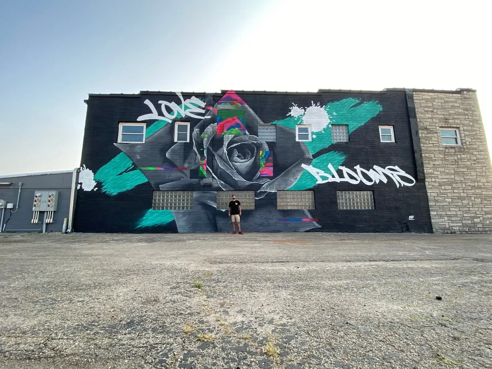 Never Xtinct Murals Mural in Nashville, TN