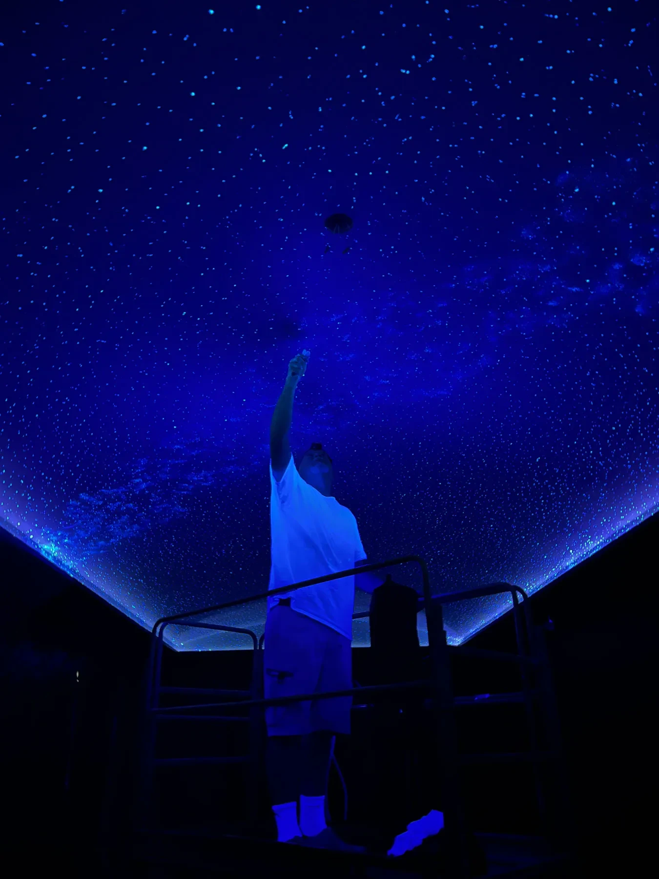 Night Sky Murals - Mural Artist in West Valley City, UT