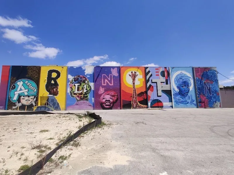 Arlington Mural Wall at College Park in Jacksonville, FL