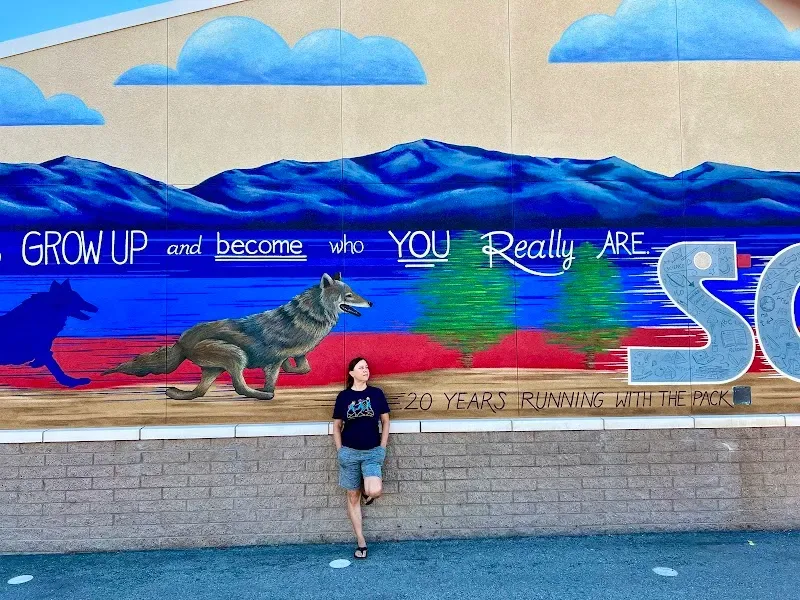 the dream painter wall murals - Mural Artist in Thousand Oaks, CA