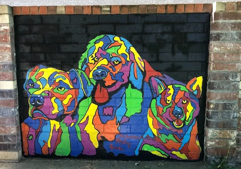 The Bay Area Muralist - Mural Artist in San Jose, CA
