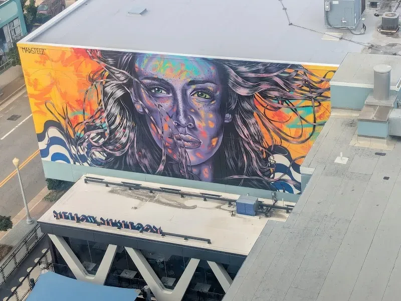Mellow Mushroom Purple Woman Mural in Virginia Beach, VA