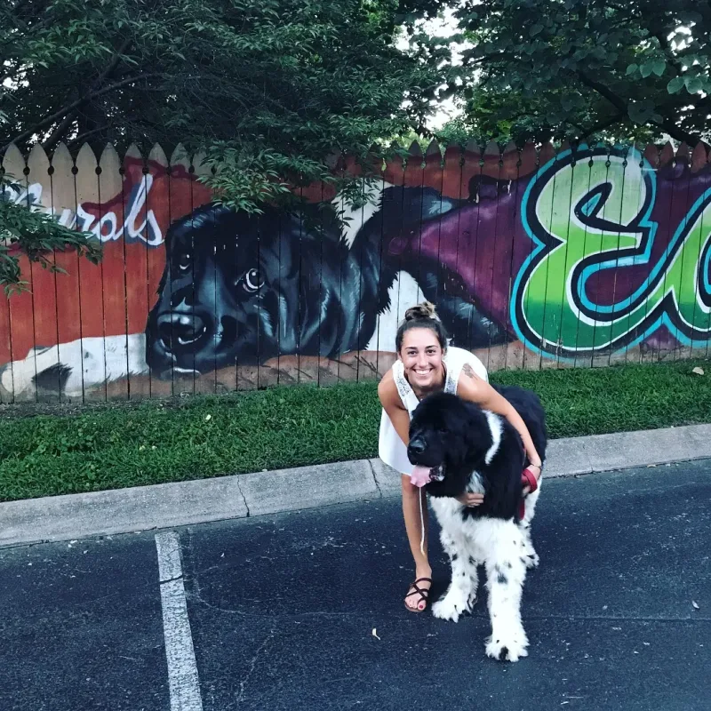Icy Hot Murals mural work 5 in Nashville