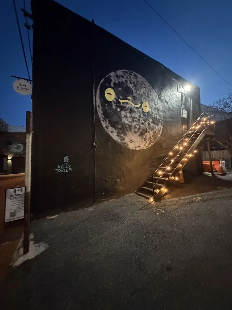 Lisa Marie Studio Artist Muralist Press mural work 4 in Washington