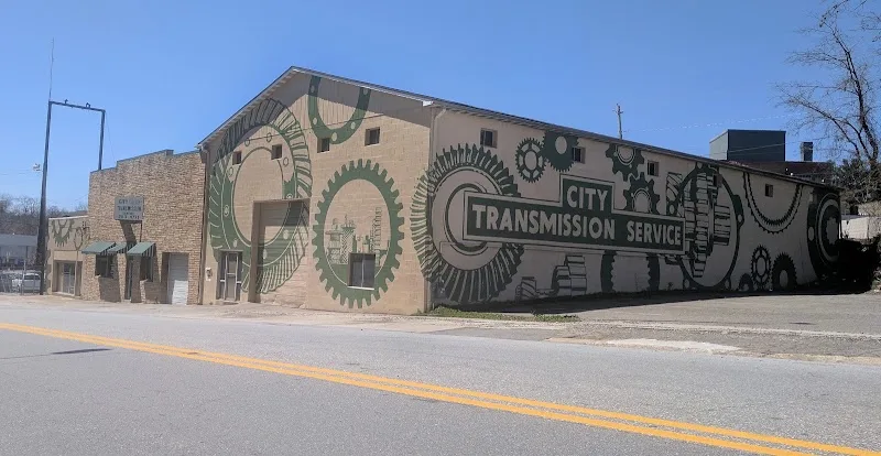 Brushcan Custom Murals and Hand Painted Signs - Mural Artist