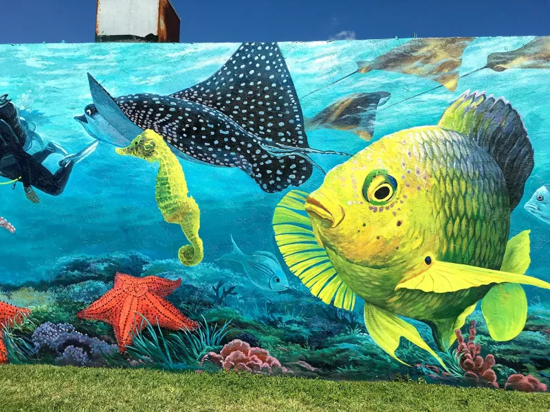 Murals by Georgeta mural work 2 in West Palm Beach