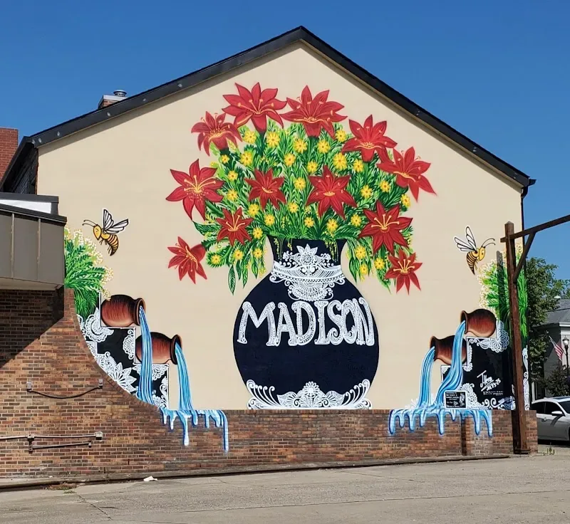 Madison Mural by Triangulador in Madison, WI