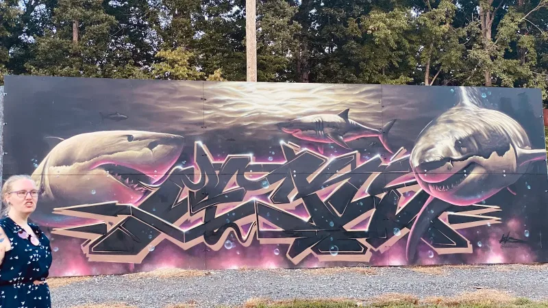 Kotis Street Art Mural in Cary, NC