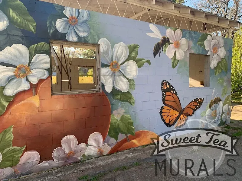 Sweet Tea Murals - Mural Artist