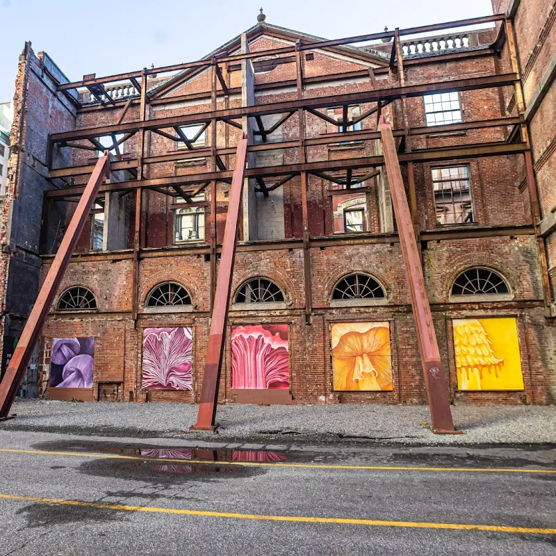 The Serpent (2024) by Amanda Hill. Hidden Mycellium (2024) by Maia Hay.Murals produced by The Avenue Concept in Providence, RI