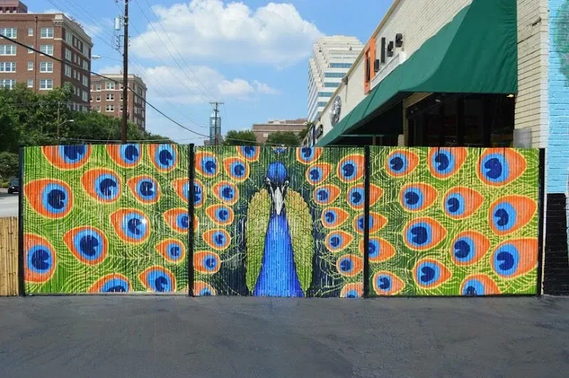 Peacock Feathers and Azure Plumage Mural in Frisco, TX