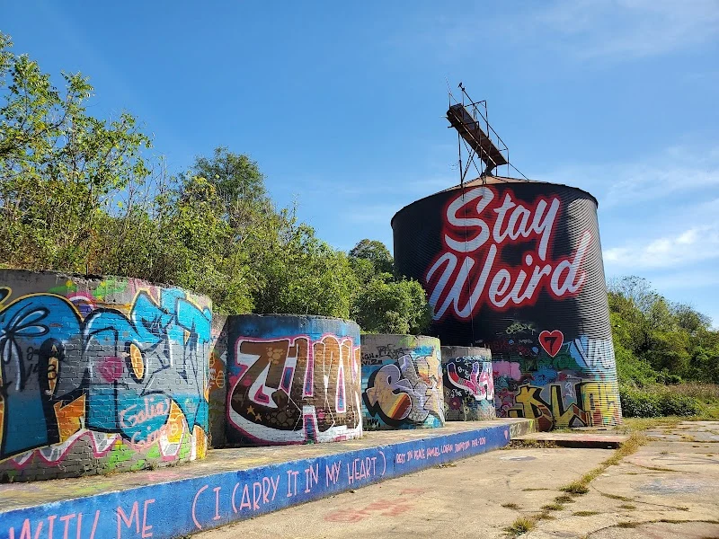 Ian Wilkinson - Mural Artist