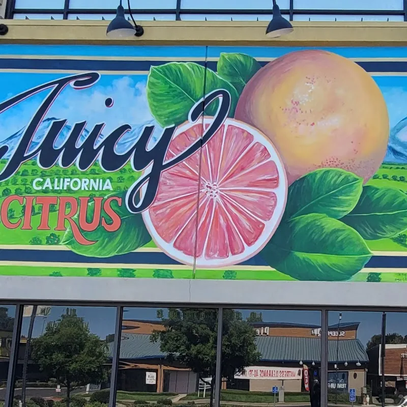 The Bay Area Muralist mural work 2 in San Jose