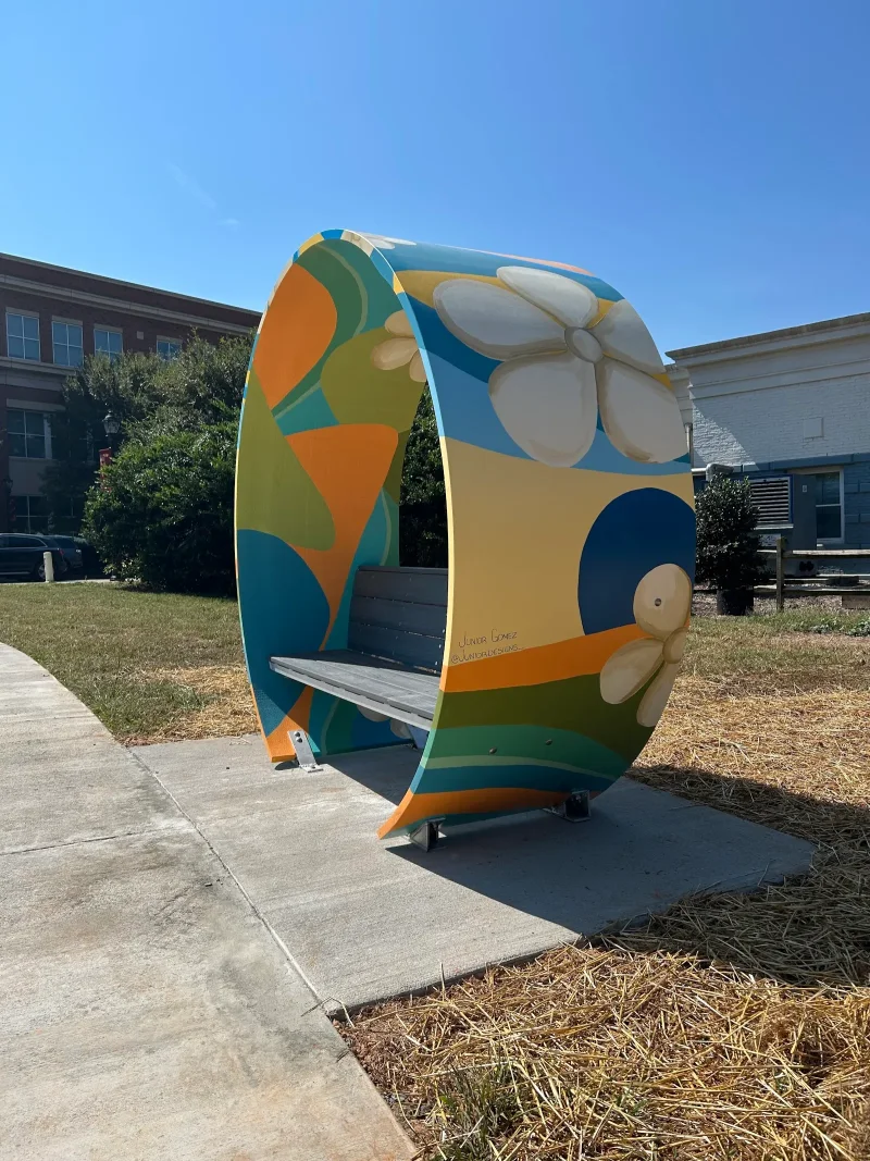 Junior Designs: Artist & Muralist mural work 5 in Charlotte