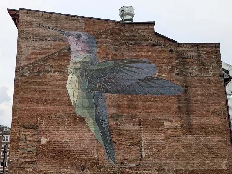Stained Glass Hummingbird Mural in Burlington, VT - photo 3