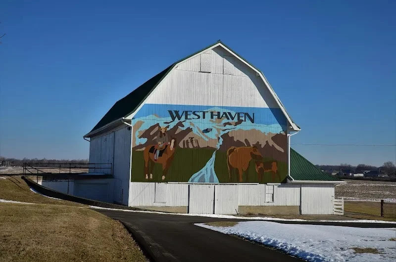 Piletrea Murals - Mural Artist