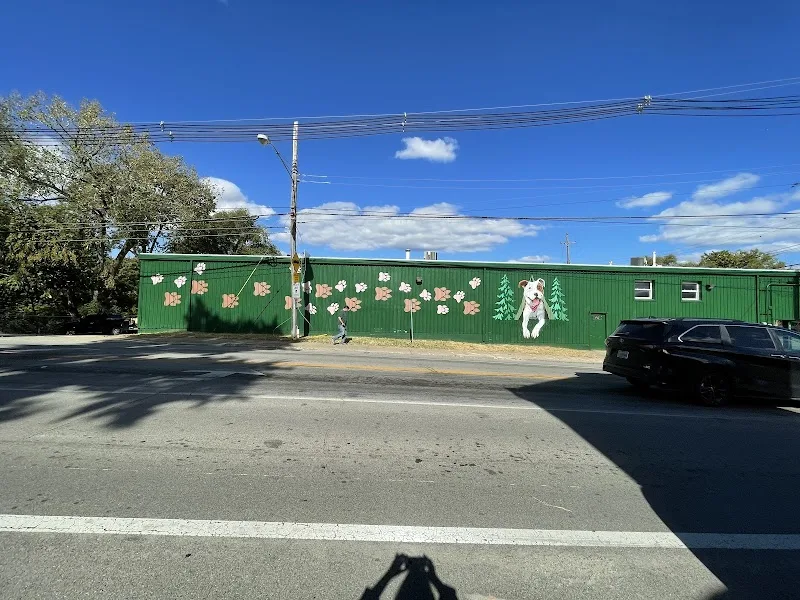 Glenda's Wall To Wall Art mural work 4 in Louisville