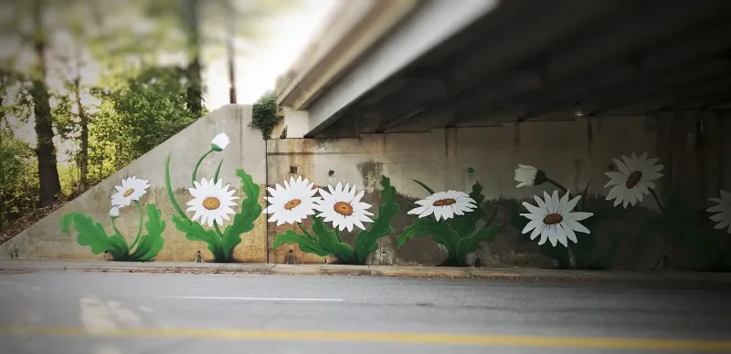 Randall Kane Design Mural Artist, muralist Mural in Winston-Salem, NC
