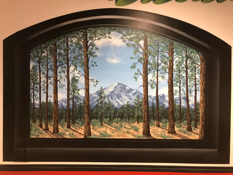 Tyler Dixon Murals mural work 4 in Colorado Springs