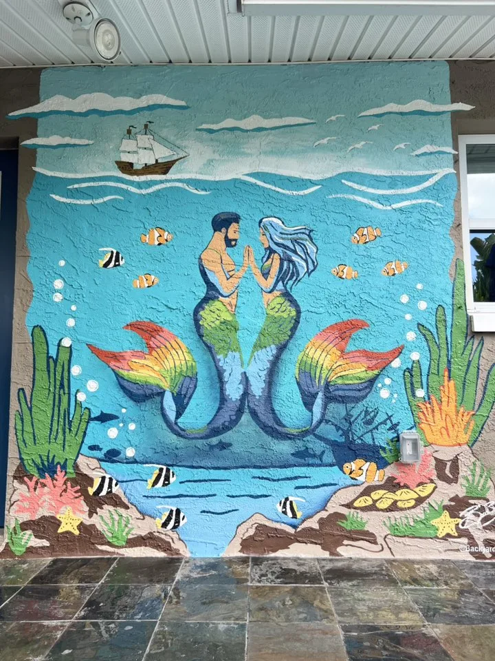 Backyard Muralz - Mural Artist