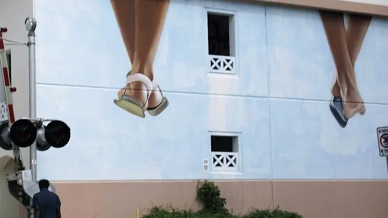 "I Lost My Shoe When I Saw You", Mural by @lonacpot in West Palm Beach, FL - photo 2