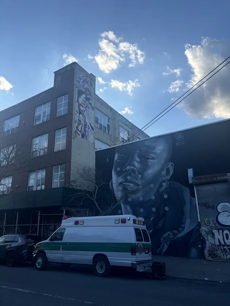 NYC Mural Arts Project mural work 5 in New York