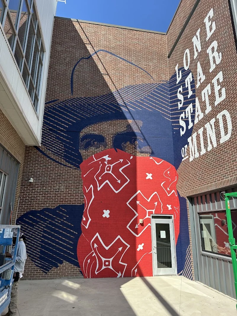 Murals by Kyle mural work 3 in Dallas