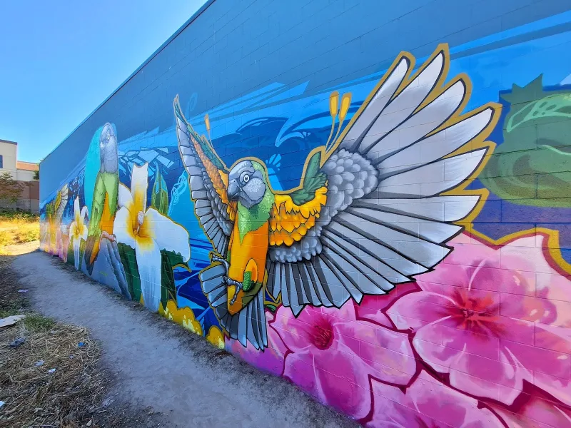 California Mural Art mural work 2 in Fremont