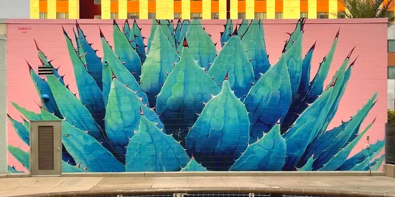 Ignacio Garcia Agave Mural in Tucson, AZ in Tucson