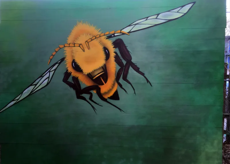Bee Warned mural in Austin, TX in Austin