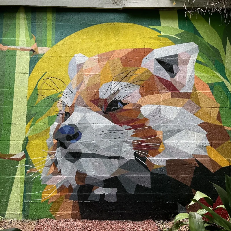 Geometric Fox Profile with Verdant Stripes Mural in Birmingham, AL in Birmingham