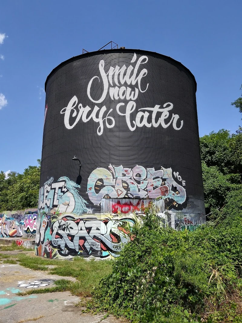 Ian Wilkinson mural work 3 in Asheville