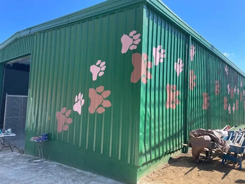 Glenda's Wall To Wall Art - Mural Artist