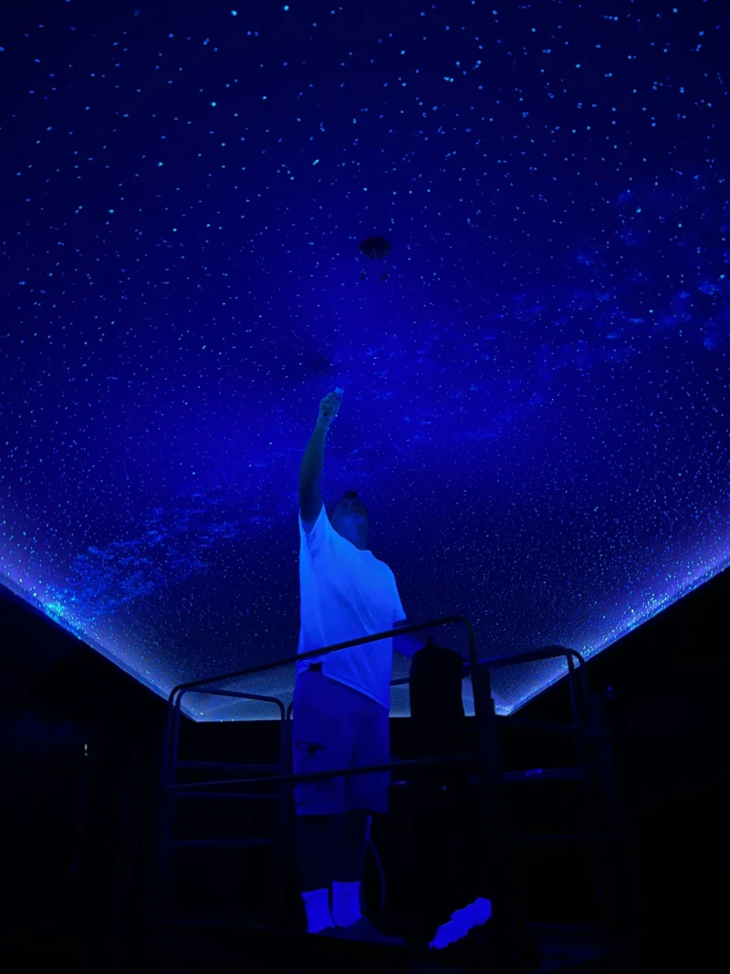 Night Sky Murals - Mural Artist
