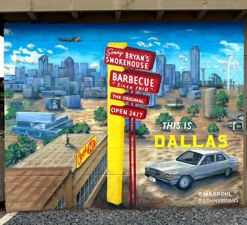 Murals by @marpohl mural work 5 in Dallas