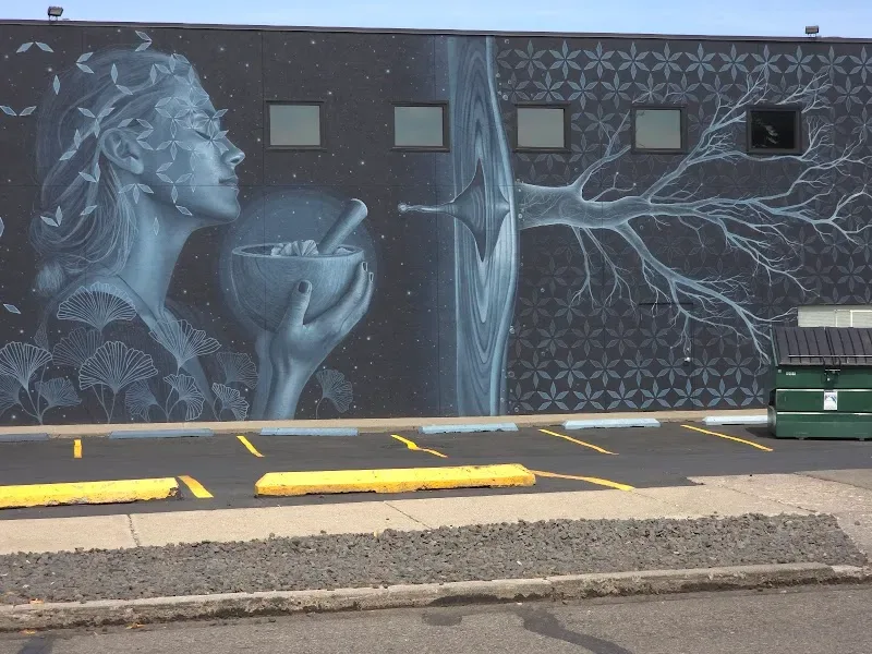 Miles Toland Mural Koru in Spokane, WA