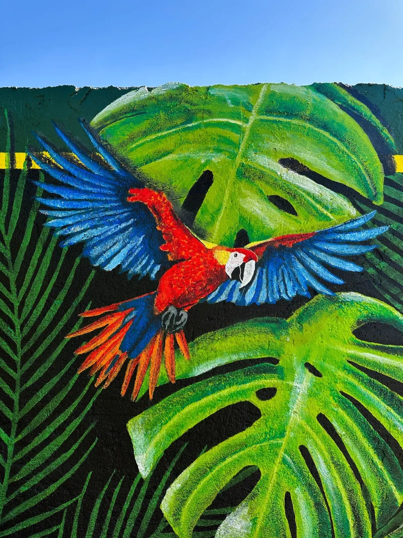 Amer Mural Art - Mural Artist