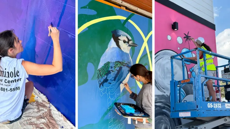 Orlando Mural Co. mural work 4 in Orlando