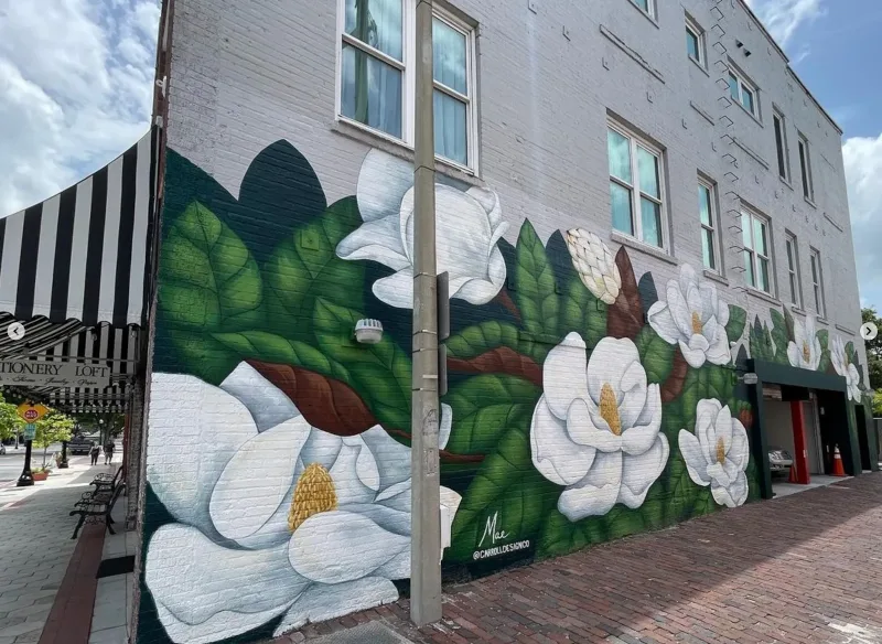 Murals by Mae - Mural Artist