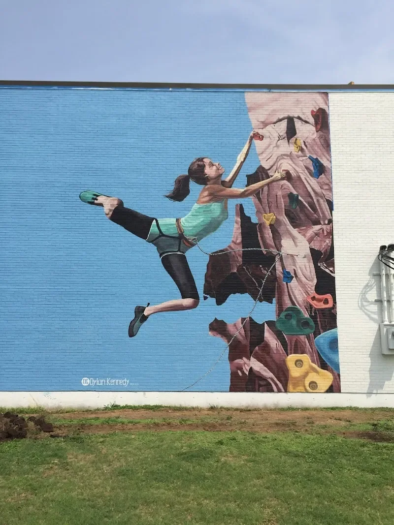Dylan Kennedy Murals - Mural Artist