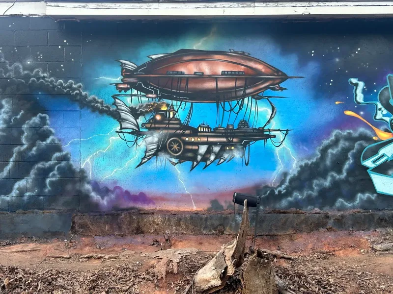 Murals , signage, custom art , logos - Mural Artist
