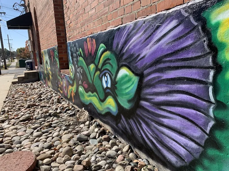 The Mural Artist mural work 4 in Overland Park