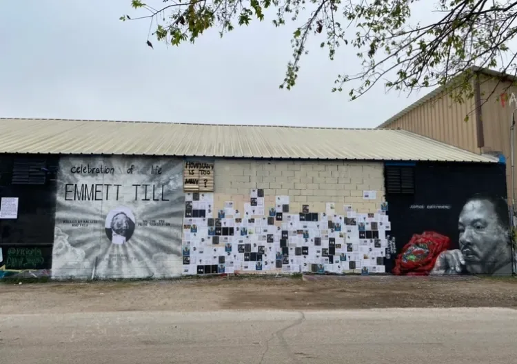 Victoria Danné Studio Murals (Muralist Dallas) - Mural Artist