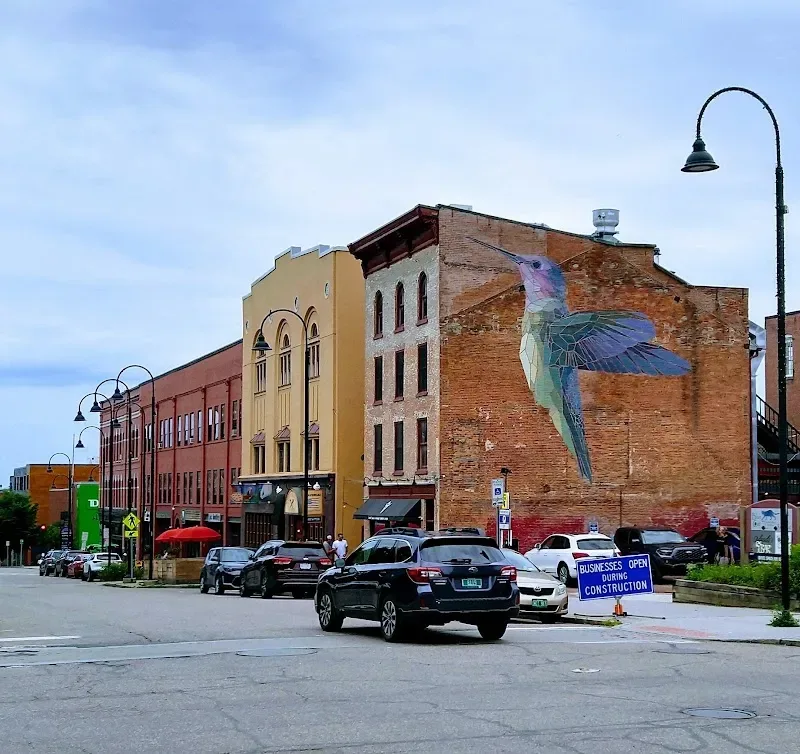 Stained Glass Hummingbird Mural in Burlington, VT - photo 2