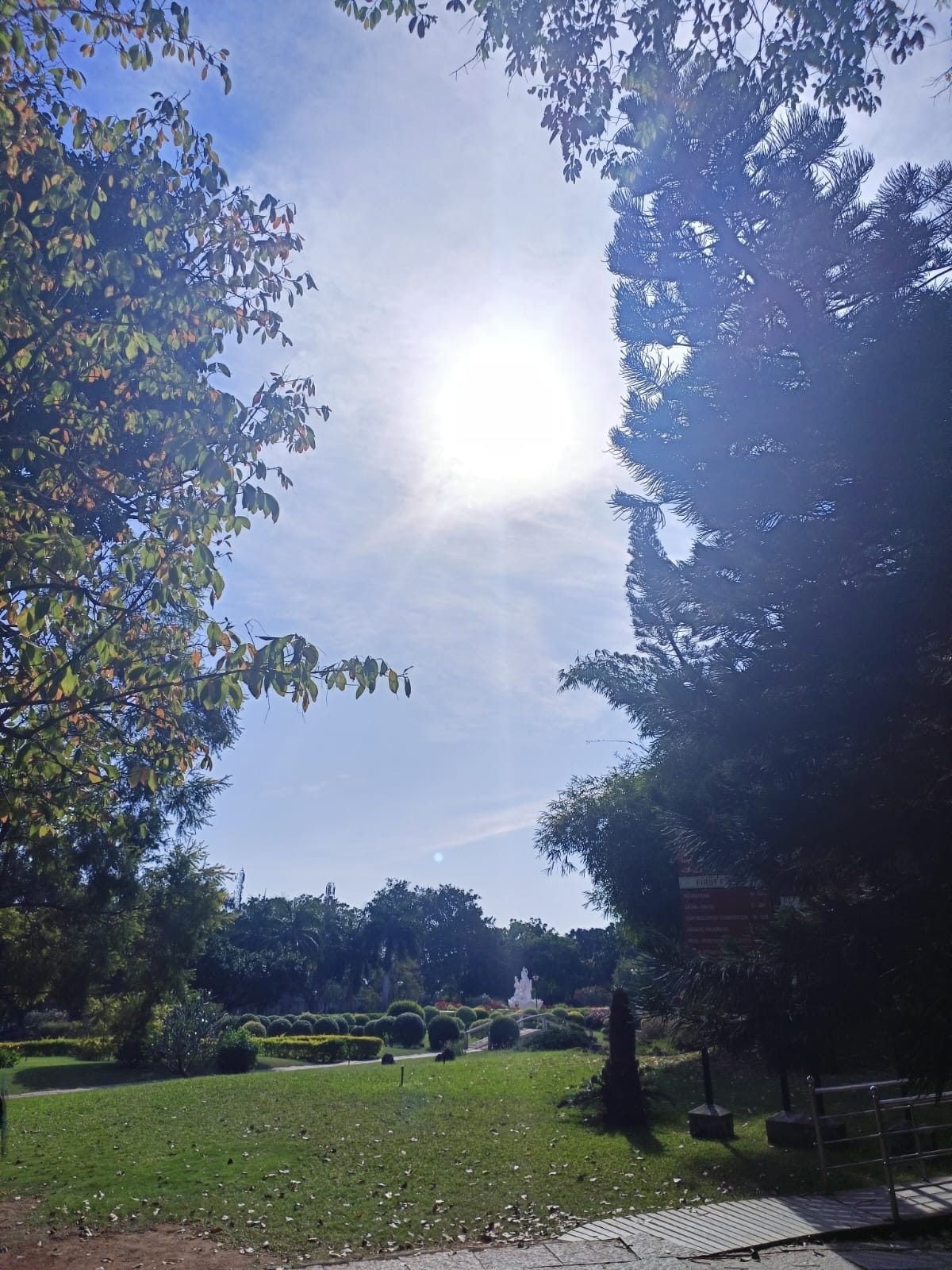 Fig: Image_13