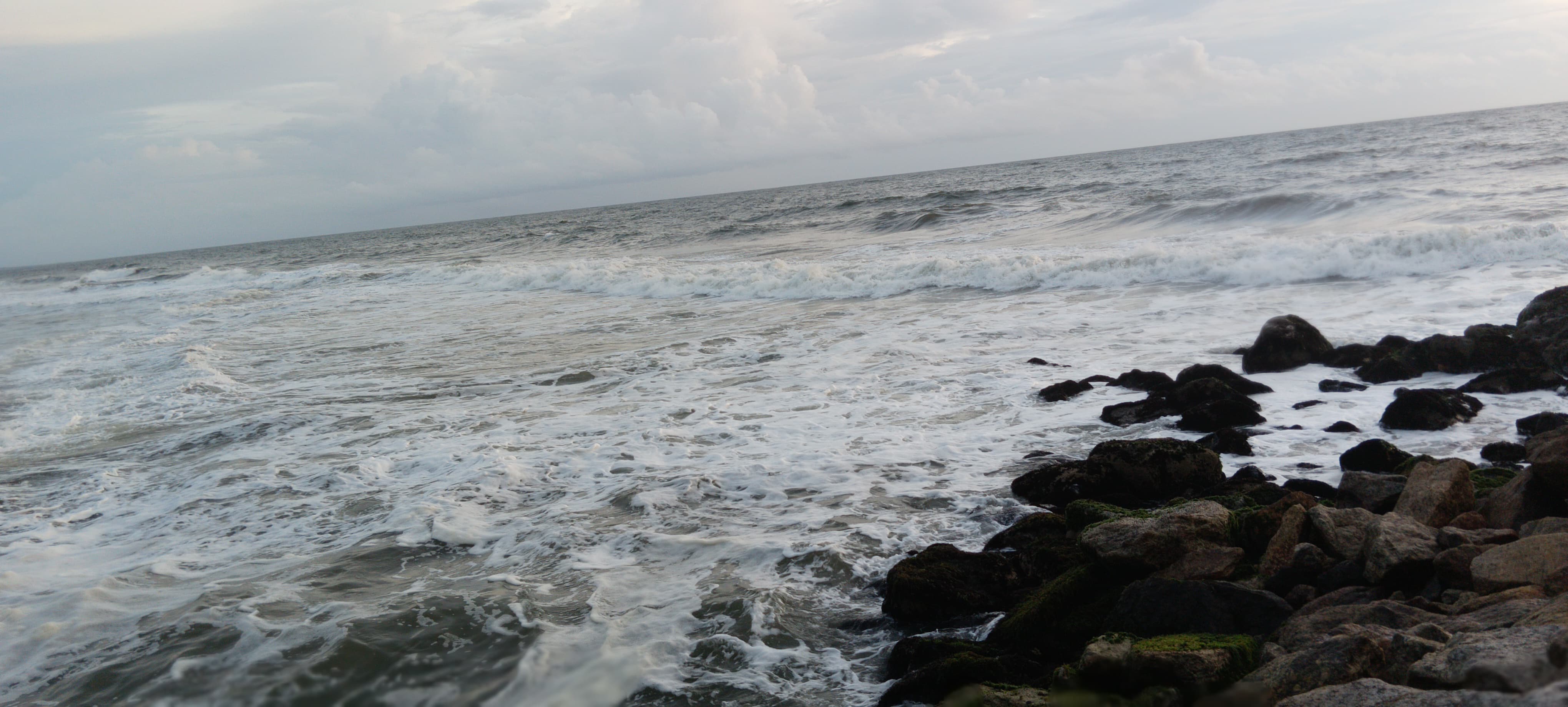 Fig: Image_14