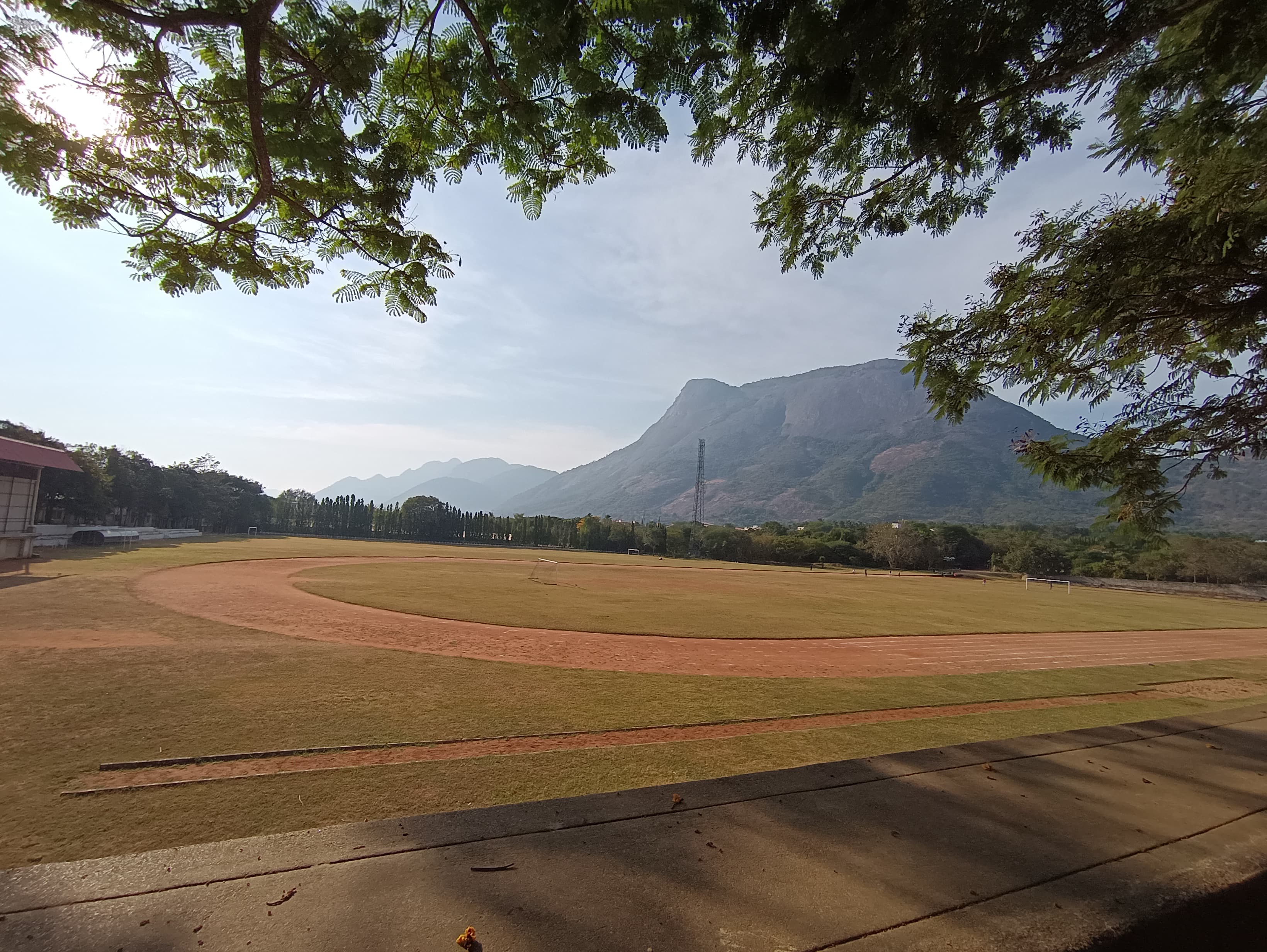 Fig: Image_10