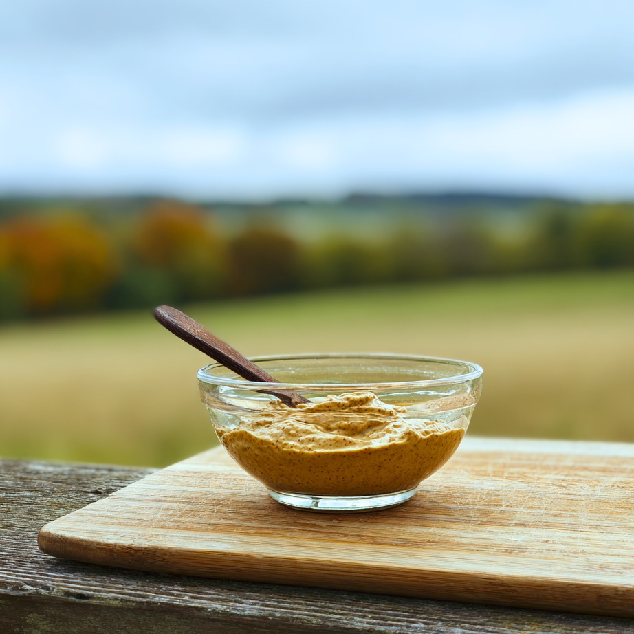 Honey Mustard Dip