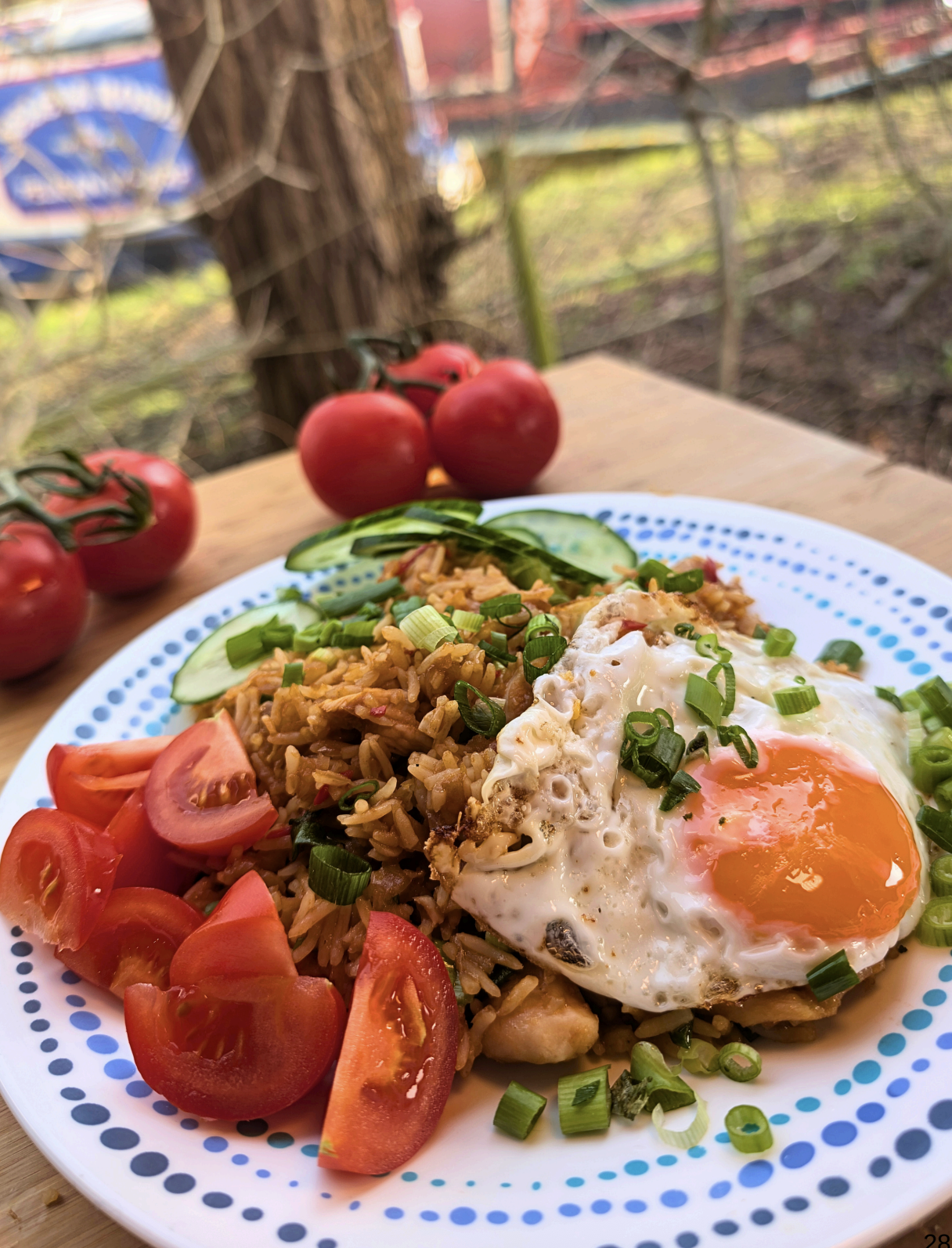 Indonesian Fried Rice (Nasi Goreng)