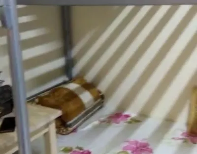 Bed Spaces Available For Muslim Girls Only In Deira AED 750 Per Month